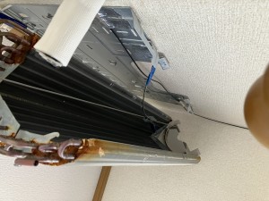 IMG_25491