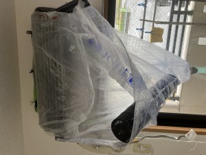 IMG_25931
