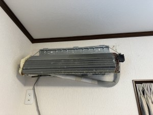 IMG_2637 IMG_2637
