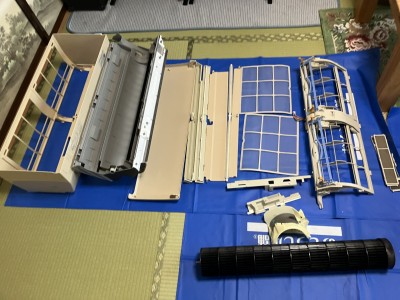 IMG_2655 IMG_2655