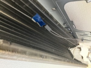 IMG_2677 IMG_2677