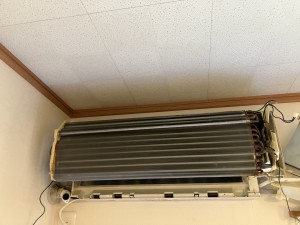 IMG_2696 IMG_26961