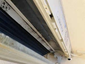 IMG_2697 IMG_26971