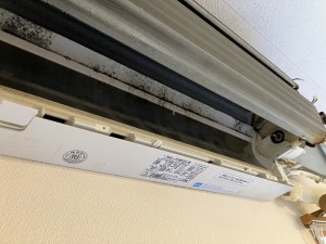 IMG_2698 IMG_26982