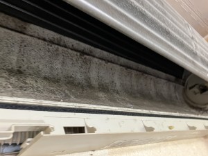 IMG_2844 IMG_28441