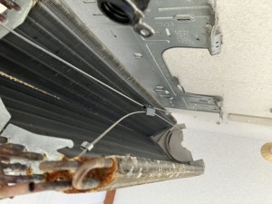 IMG_2879 IMG_28792