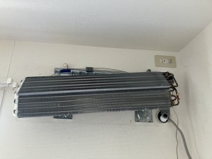 IMG_2924 IMG_2924