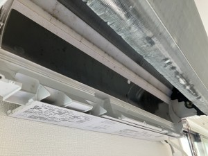 IMG_2939 IMG_29392