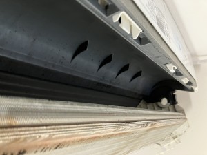 IMG_2997 IMG_2997