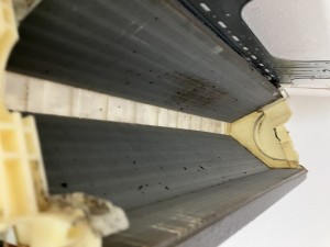 IMG_3011 IMG_30112