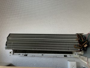 IMG_3021 IMG_30213