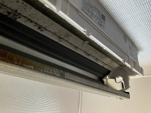 IMG_3023 IMG_30231