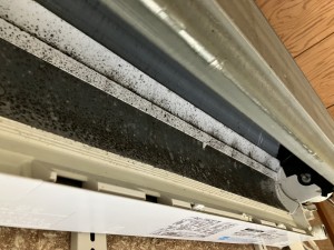 IMG_30951