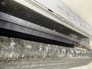 IMG_3141 IMG_3141