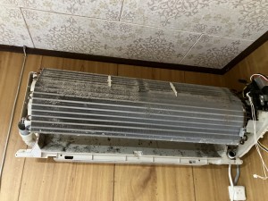 IMG_3154 IMG_31541