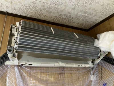 IMG_3160 IMG_31601