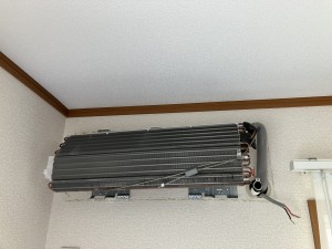IMG_3210 IMG_3210