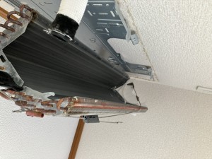 IMG_3211 IMG_32111