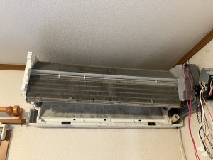 IMG_3231 IMG_32312