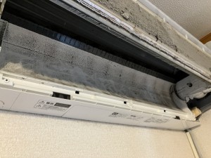 IMG_3233 IMG_32332
