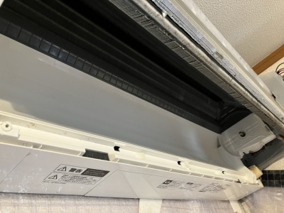 IMG_3239 IMG_32392