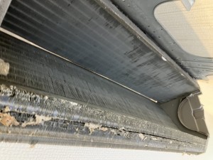 IMG_3329 IMG_33291