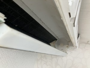 IMG_3339 IMG_33391