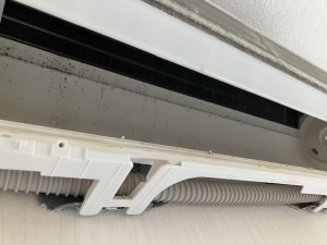 IMG_3340 IMG_33401