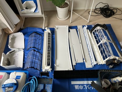 IMG_3347 IMG_3347