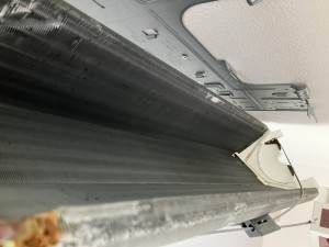 IMG_3364 IMG_33641