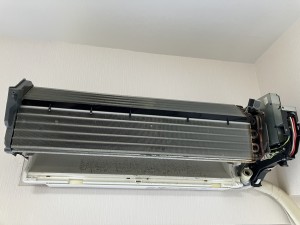 IMG_3383 IMG_33832