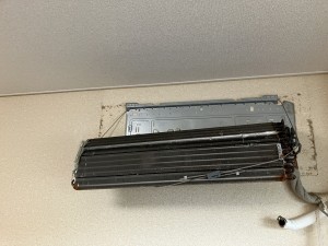 IMG_3442 IMG_3442