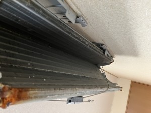 IMG_3443 IMG_34431