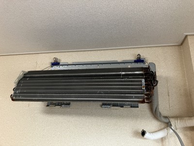 IMG_3445 IMG_34452