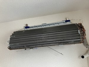 IMG_3452 IMG_34522