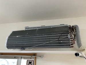 IMG_35351