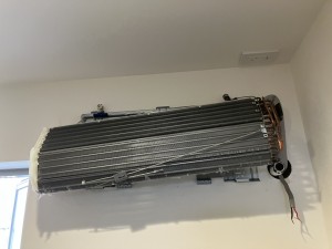 IMG_3606 IMG_36061