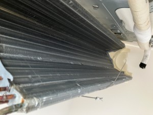 IMG_3610 IMG_3610