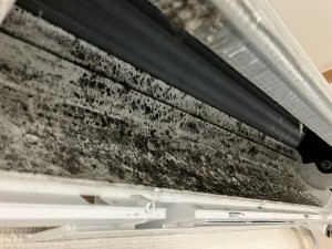 IMG_3720 IMG_37203