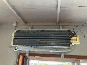 IMG_3830 IMG_38301
