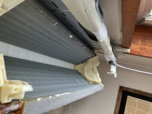 IMG_3831 IMG_38312
