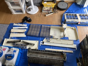 IMG_3847 IMG_38471