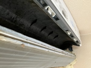 IMG_3849 IMG_3849