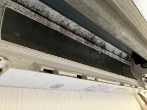 IMG_3860 IMG_3860