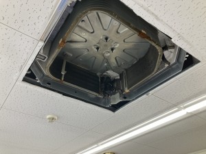IMG_3886 IMG_38861