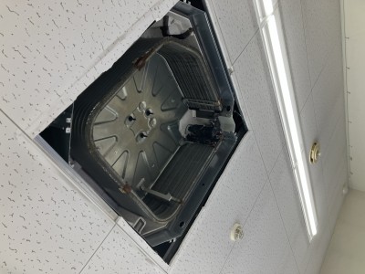 IMG_3891 IMG_38911