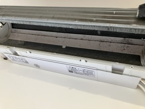 IMG_3914 IMG_39141