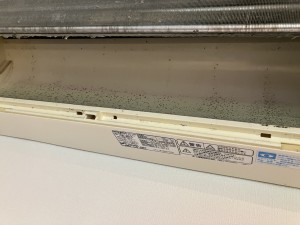 IMG_3938 IMG_39381