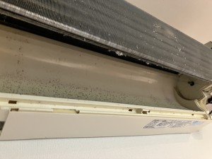 IMG_3939 IMG_39391