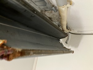 IMG_3963 IMG_39631